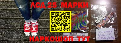 mdpv Заводоуковск