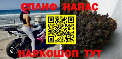 mdpv Заводоуковск