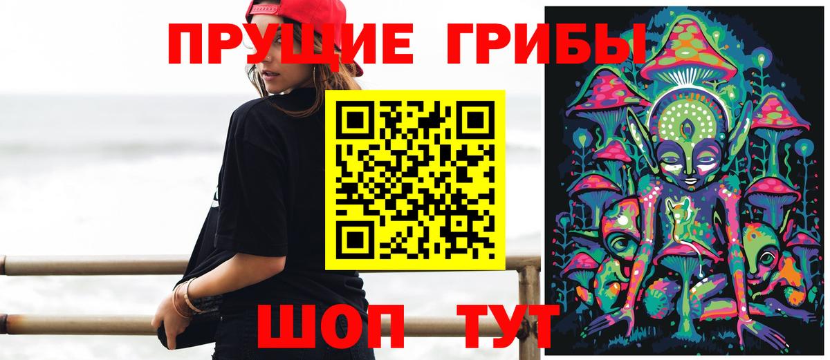 Псилоцибиновые грибы Cubensis Тельмана